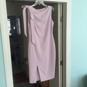 Calvin Klein Light Lavender Pink Sheath Dress 10